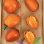 Andine Cornue Orange