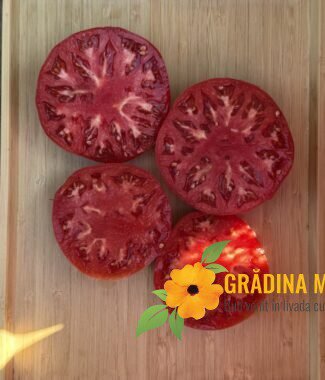 Rosado dela Sierra Aracena