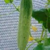 DSC02628 e1536397967535