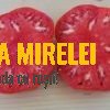 Domaci Orjac01245