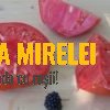 Domaci Orjac23334