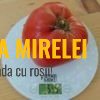 MArgareto90