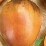 Sergent Pepper Rosy