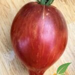 Red Comet