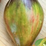 Elena's Emerald Caramel