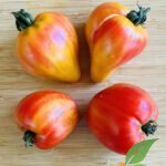 Coeur de Zebra34567