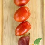 Enormous Plum