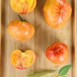 Marchen Frucht