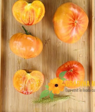 Marchen Frucht